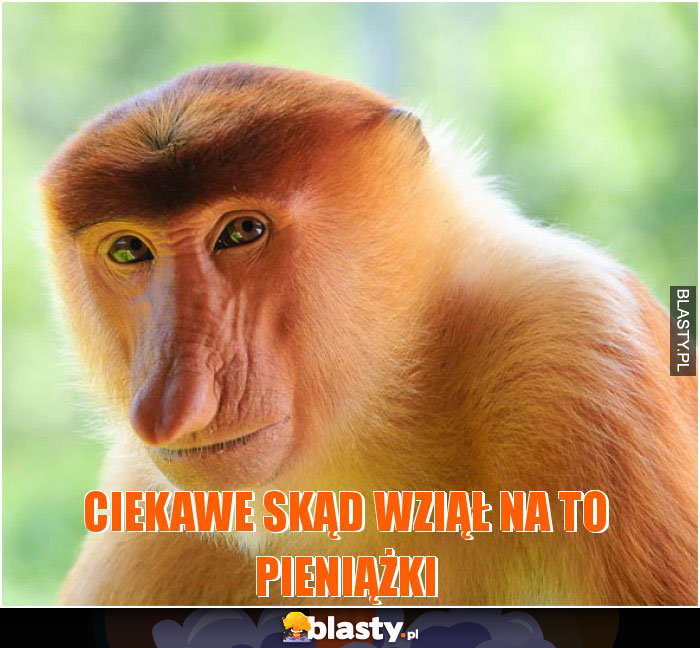 Ciekawe skąd wziął na to pieniążki