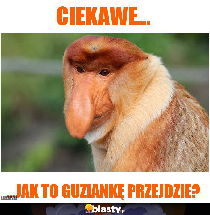 Ciekawe...