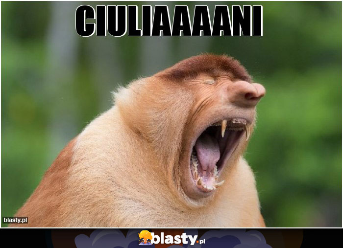 CIULIAAAANI