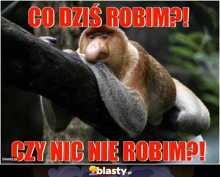 Co dziś robim?!