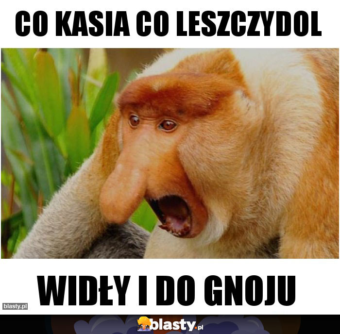 Co Kasia co leszczydol