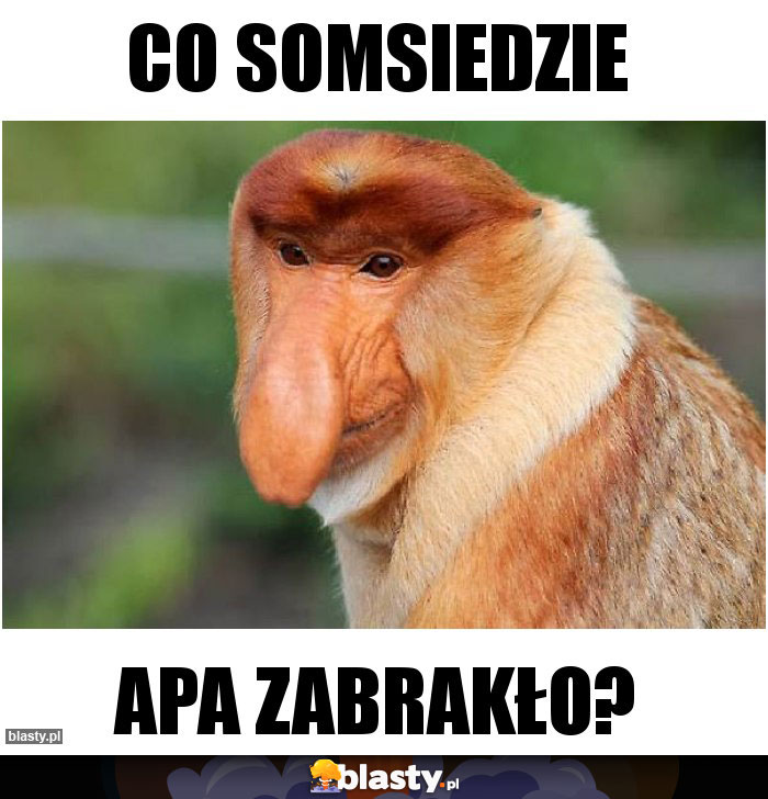 CO SOMSIEDZIE