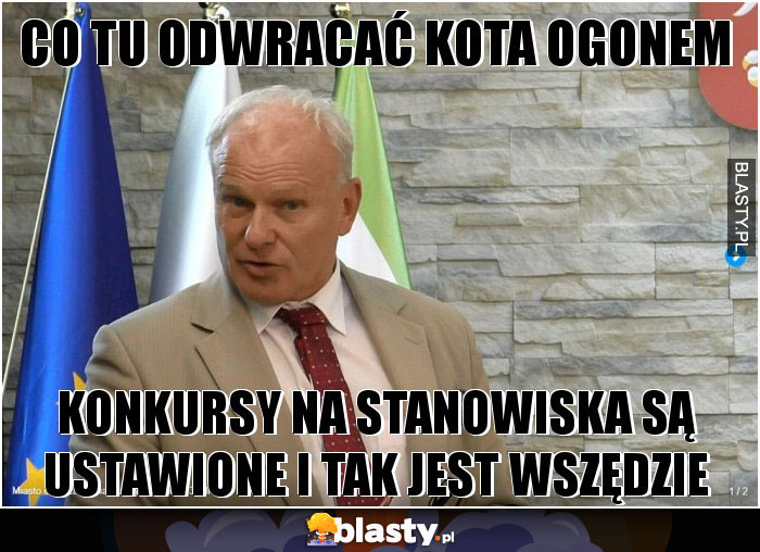 co tu odwracać kota ogonem