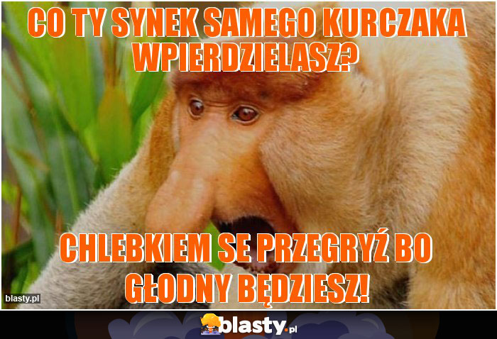 Co ty synek samego kurczaka wpierdzielasz?