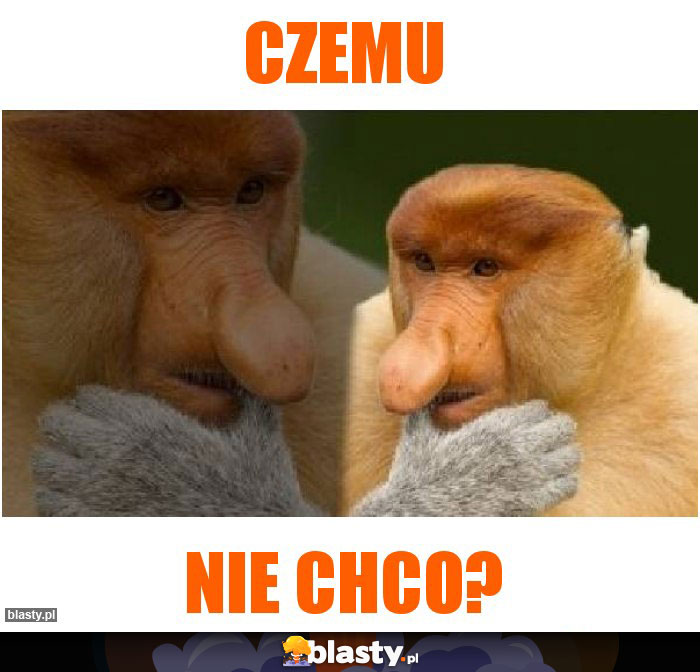 czemu