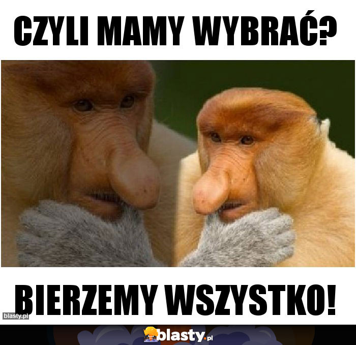 Czyli mamy wybrać?
