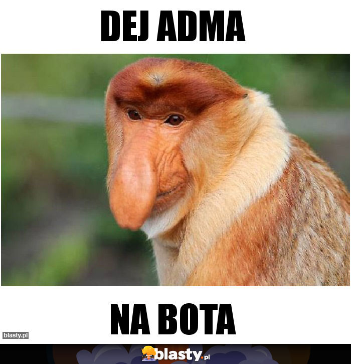 Dej adma