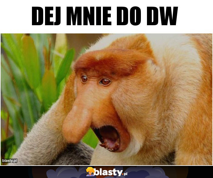 dej mnie do dw