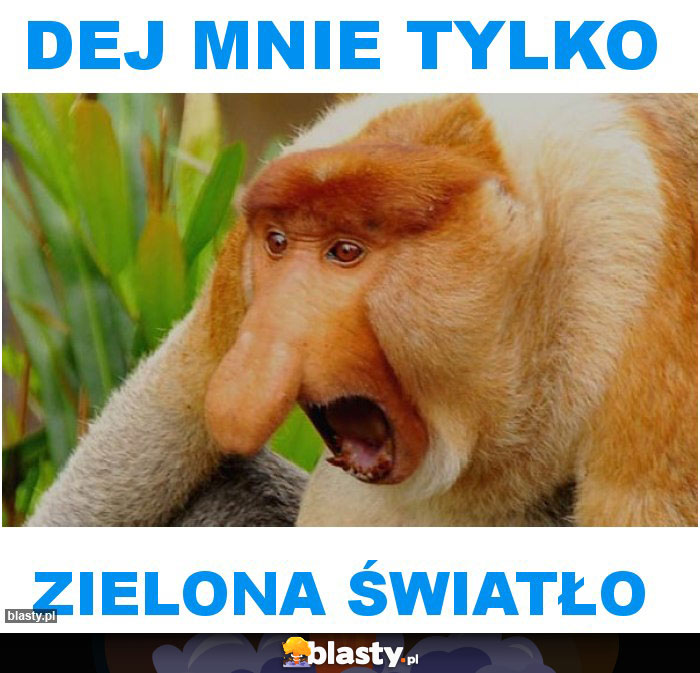 DEJ MNIE TYLKO
