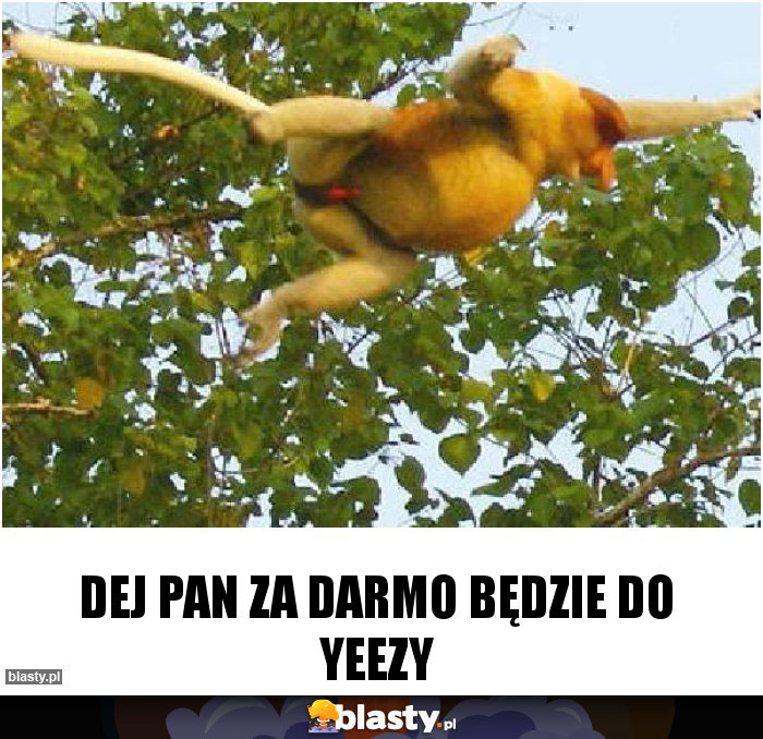 DEJ PAN ZA DARMO BĘDZIE DO YEEZY