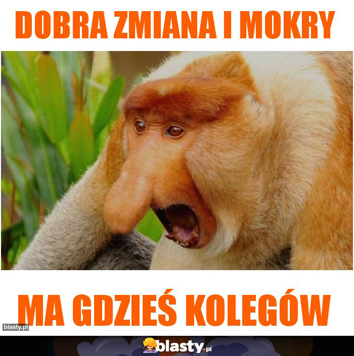 Dobra zmiana i MOKRY