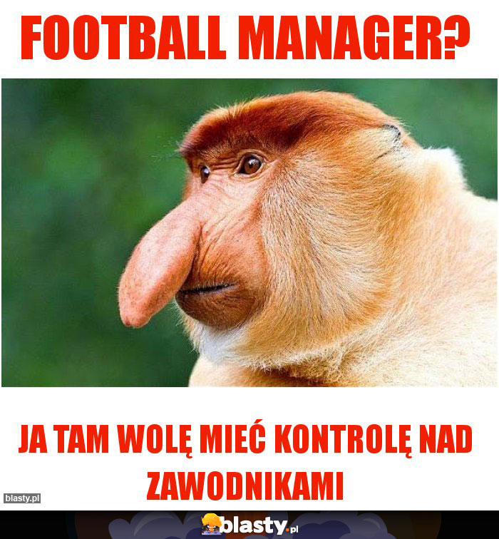 Football Manager?
