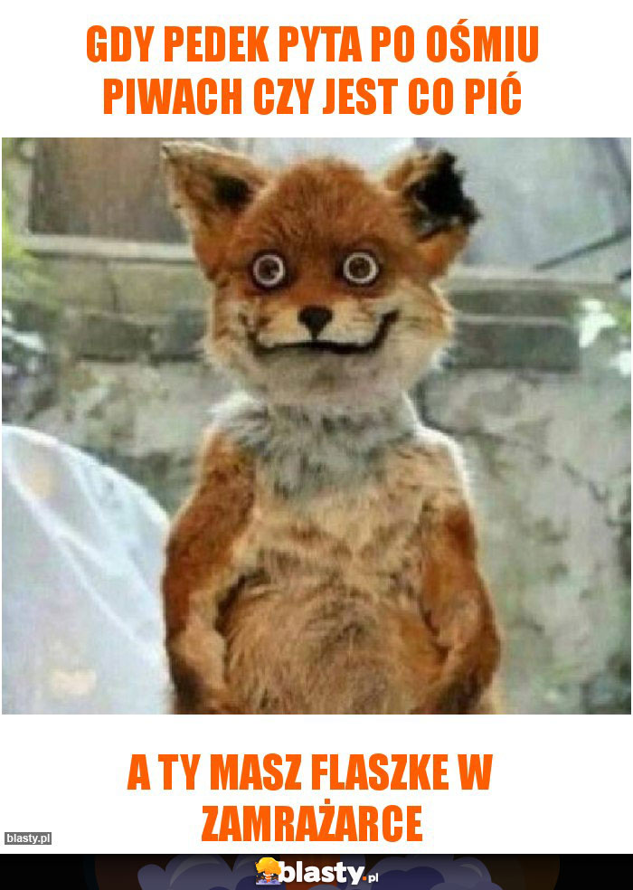 Gdy pedek pyta po ośmiu piwach czy jest co pić