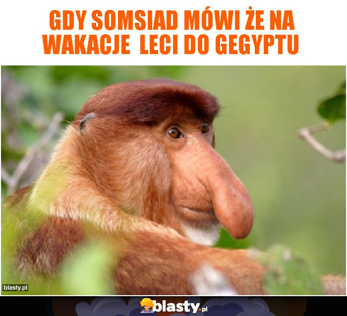 Gdy somsiad mówi że na wakacje  leci do Gegyptu