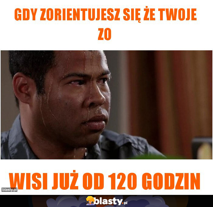 gdy zorientujesz się że twoje ZO