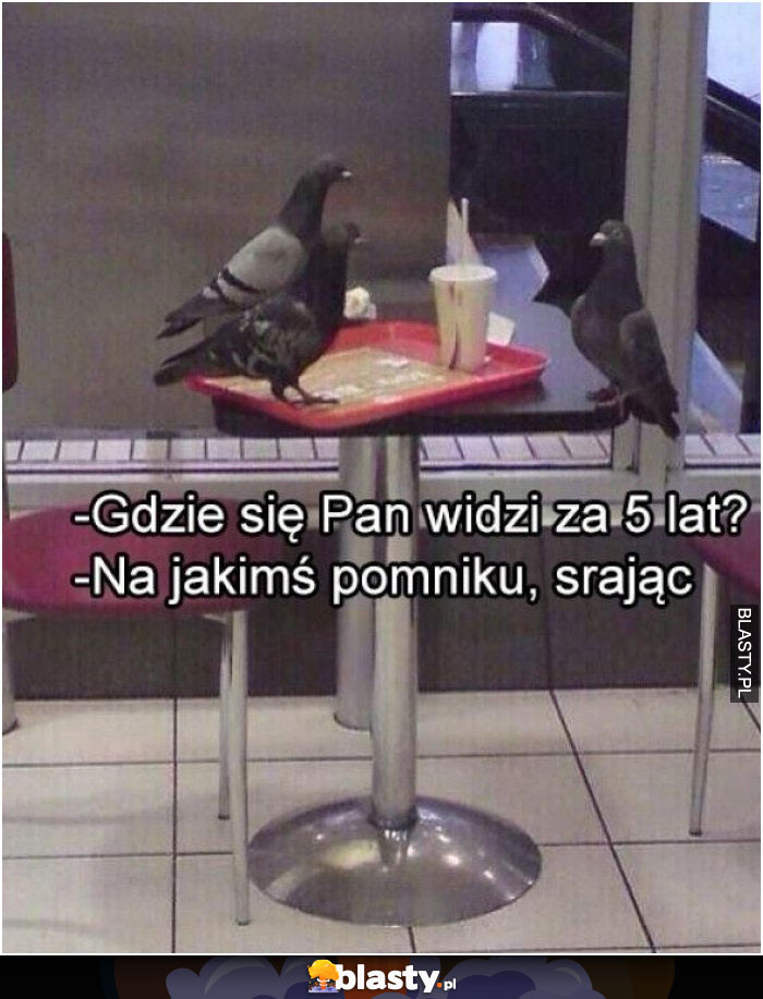 Gdzie się Pan widzi za 5 lat