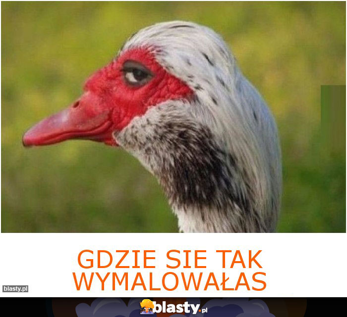 Gdzie sie tak wymalowałas