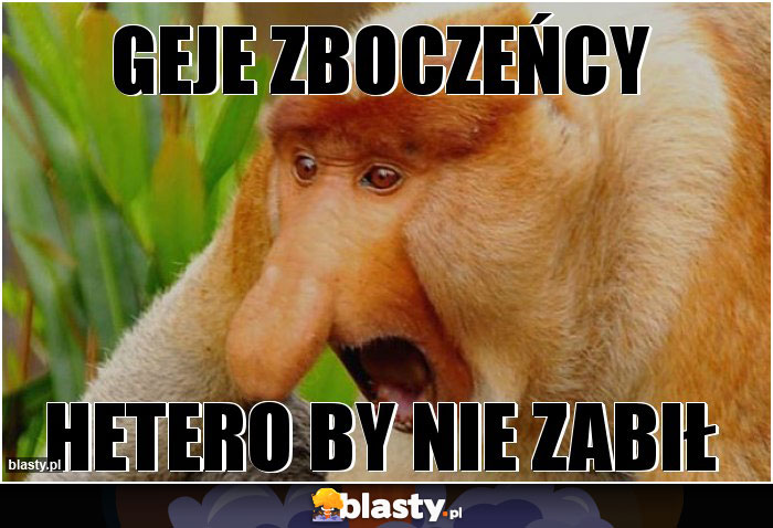 geje zboczeńcy