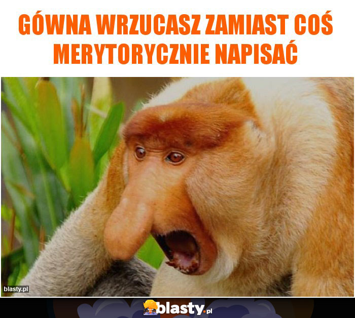 Gówna wrzucasz zamiast coś merytorycznie napisać