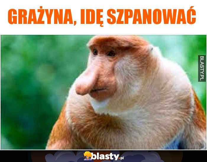 Grażyna, idę szpanować