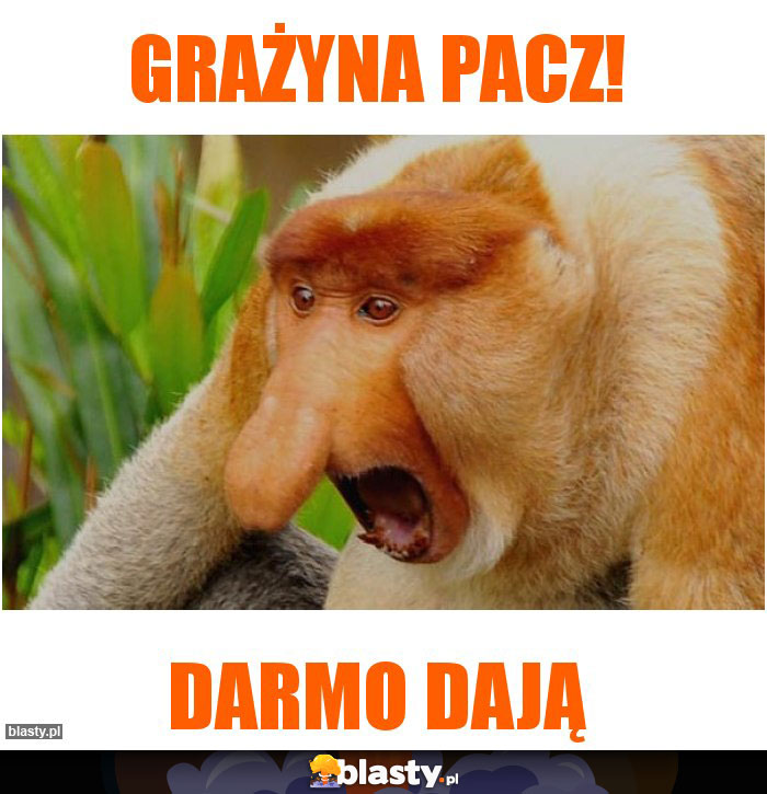 Grażyna pacz!