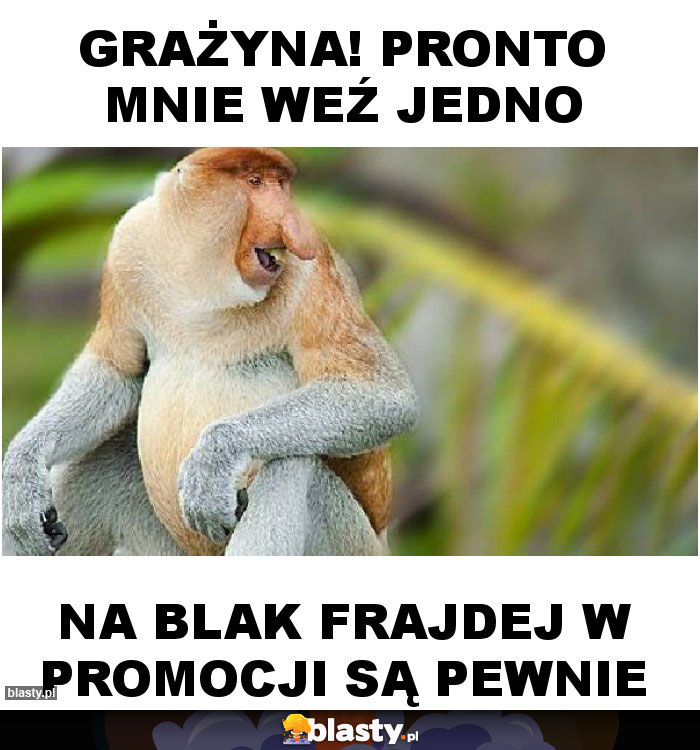 Grażyna! Pronto mnie weź jedno