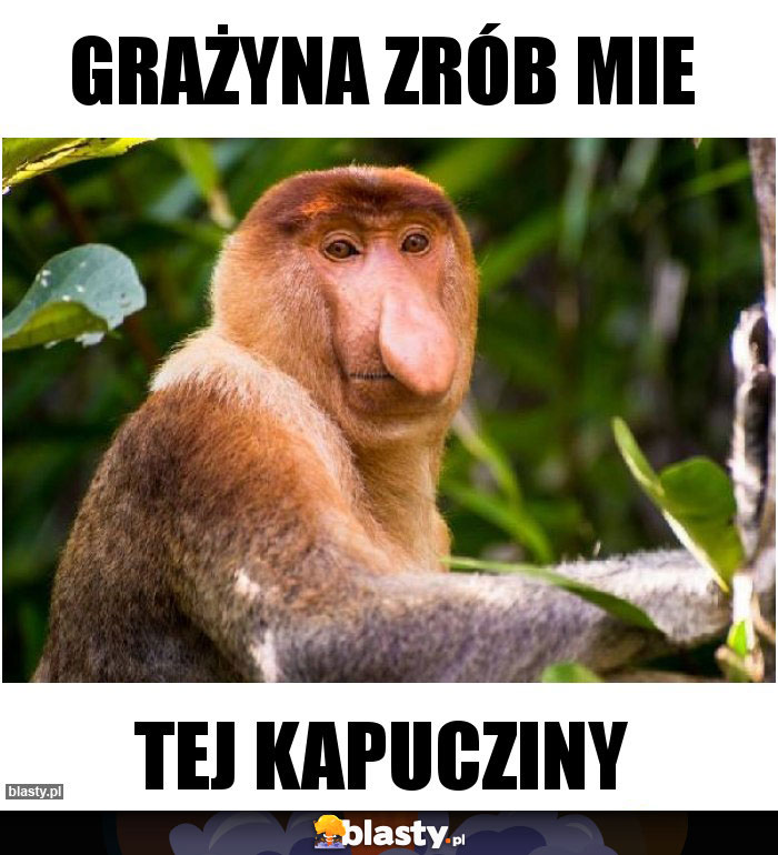 GRAŻYNA ZRÓB MIE