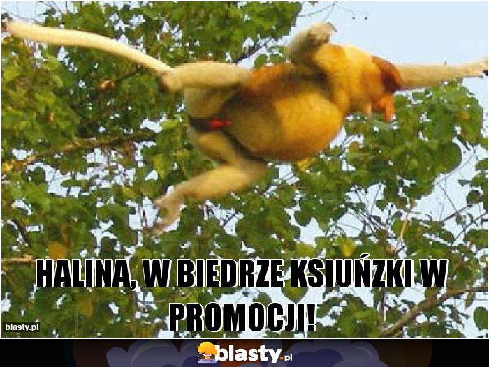 Halina, w biedrze ksiuńzki w promocji!