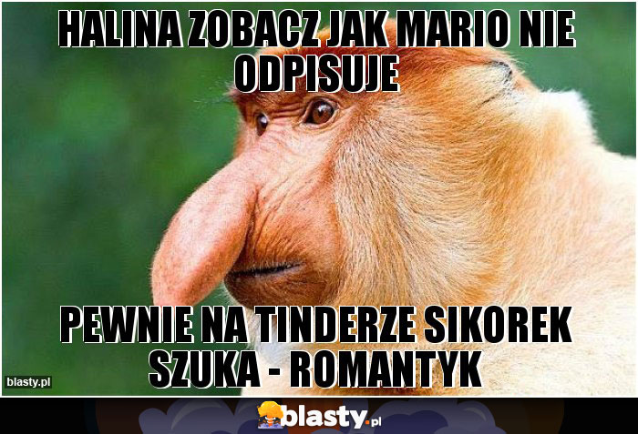 Halina zobacz jak mario nie odpisuje