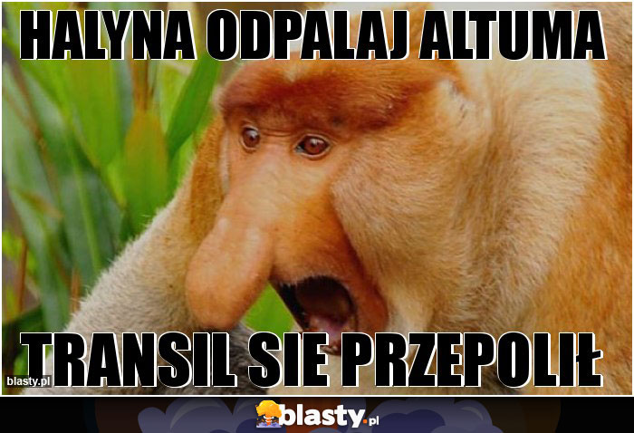 Halyna odpalaj altuma