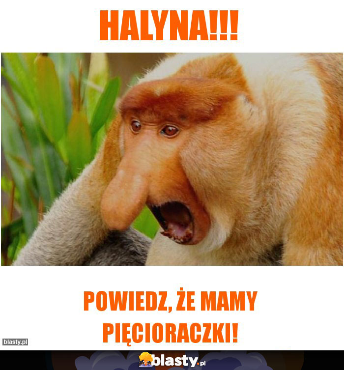 HALYNA!!!