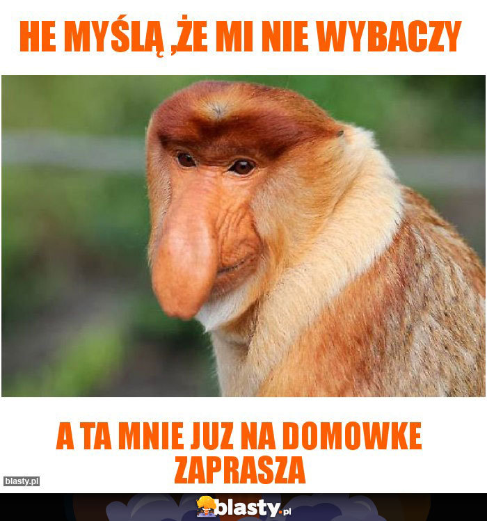 he myślą ,że mi nie wybaczy