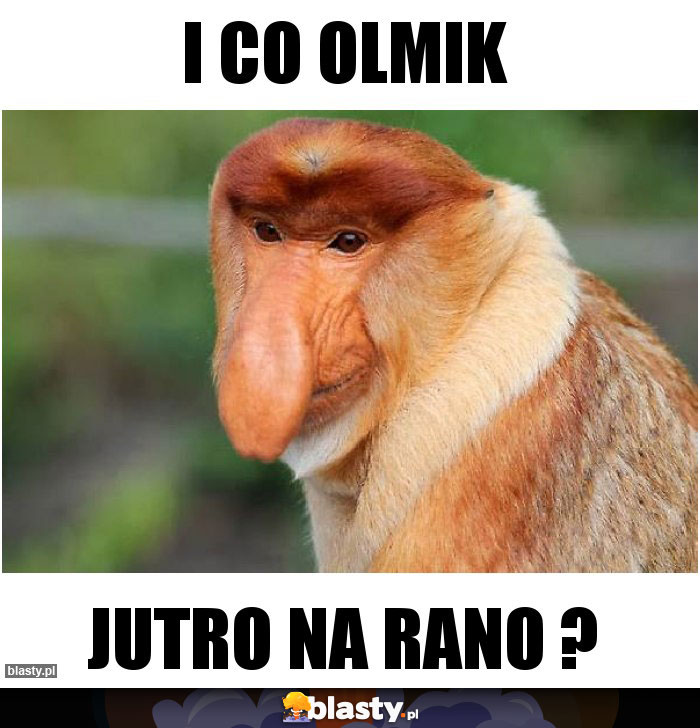 i co olmik