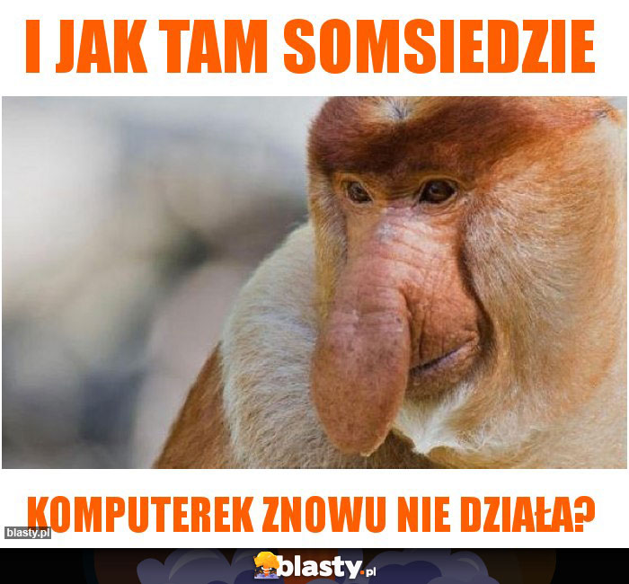 I jak tam somsiedzie
