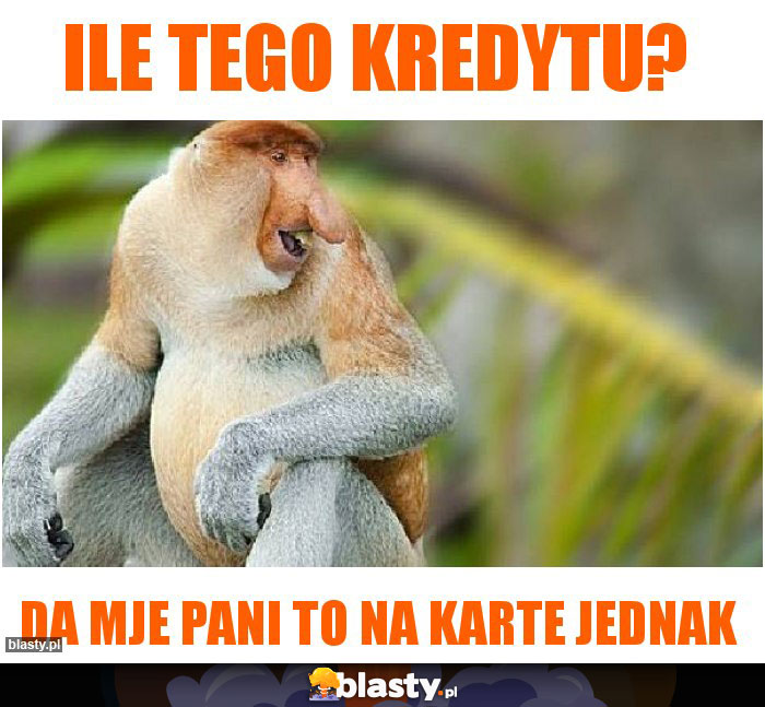 ile tego kredytu?