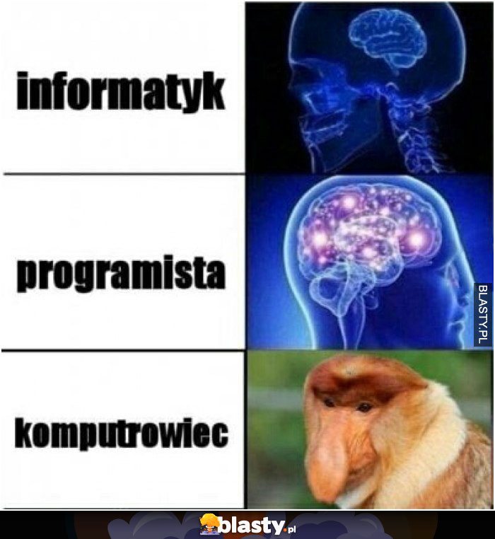 Informatyk , programista..