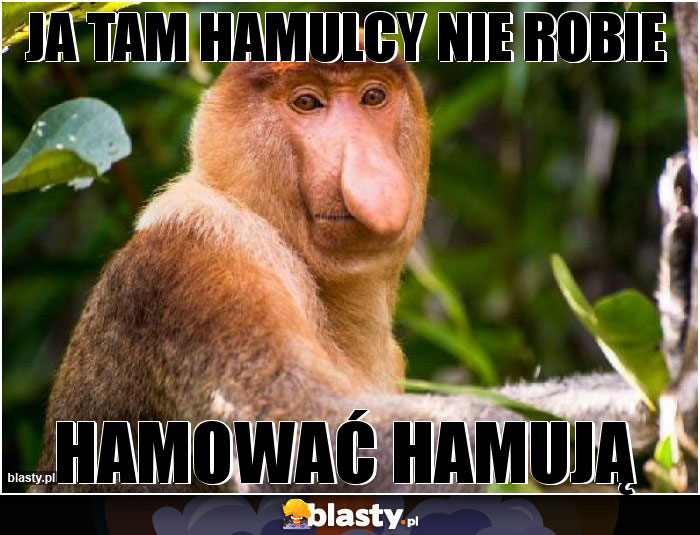 Ja tam hamulcy nie robie