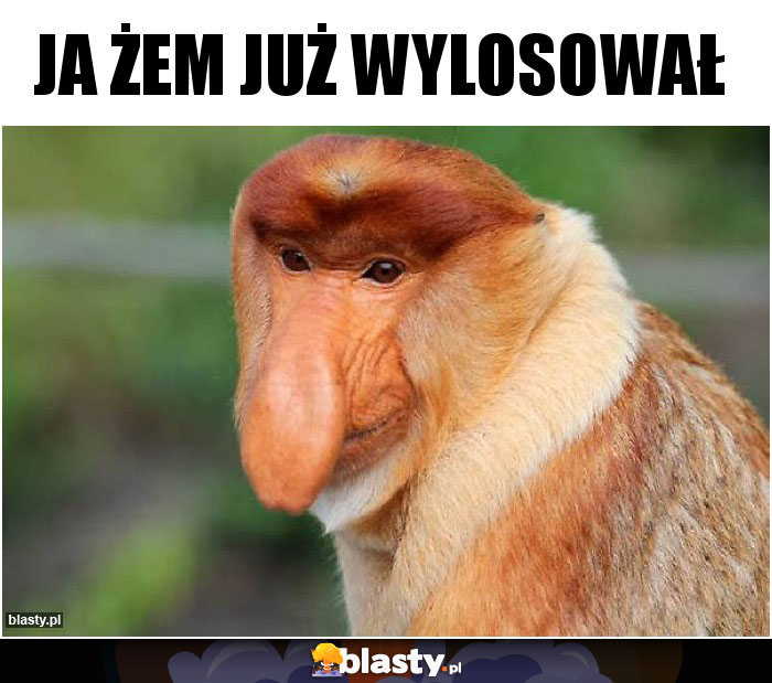 Ja żem już wylosował