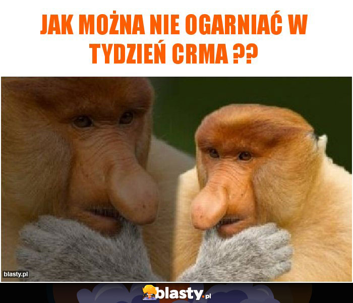 Jak można nie ogarniać w tydzień crma ??