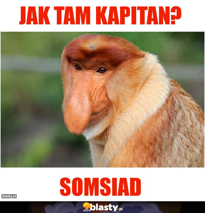 JAK TAM KAPITAN?