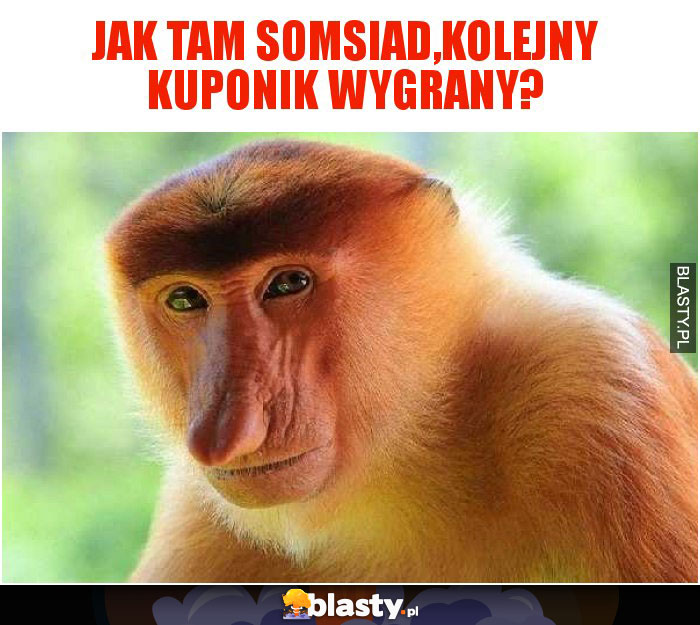 JAK TAM SOMSIAD,KOLEJNY KUPONIK WYGRANY?