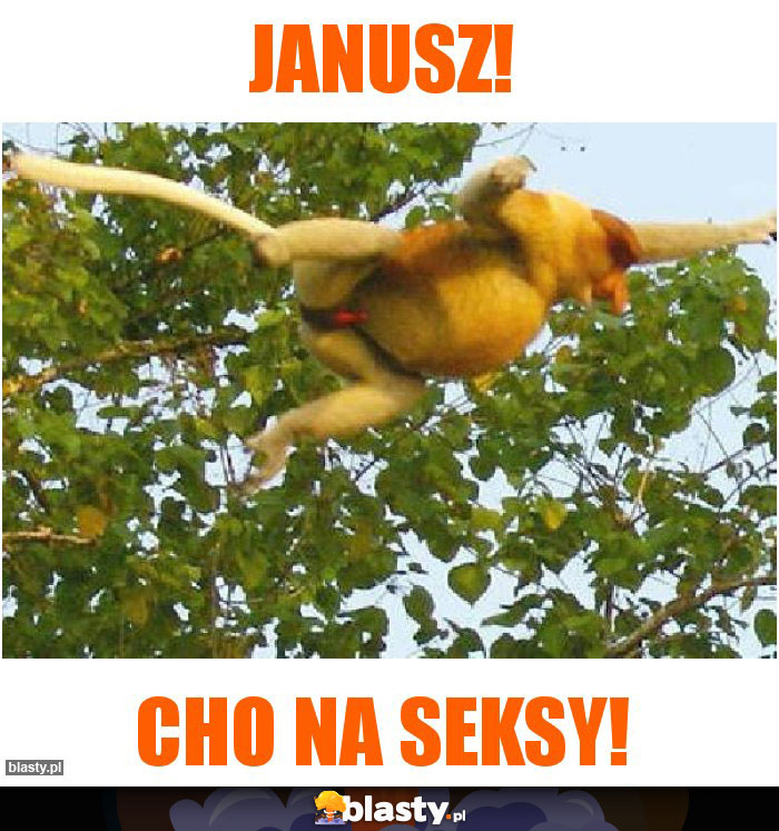 Janusz!