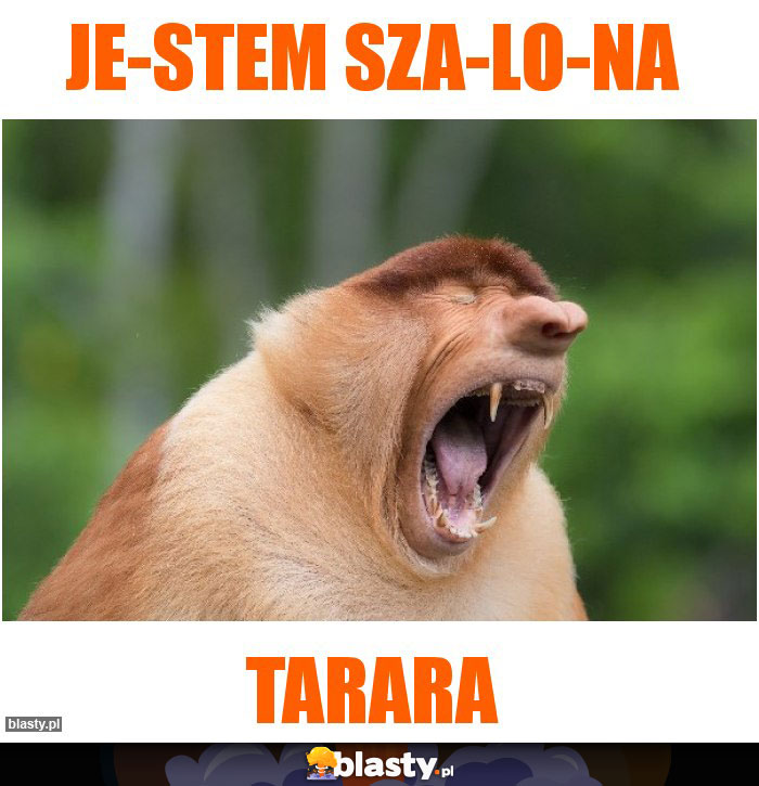 Je-stem sza-lo-na