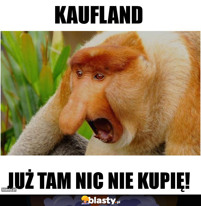 Kaufland