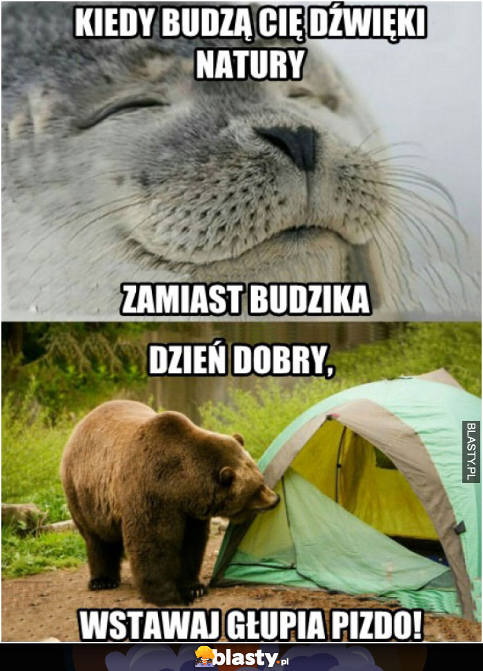 Kiedy budzą cię dźwięki natury