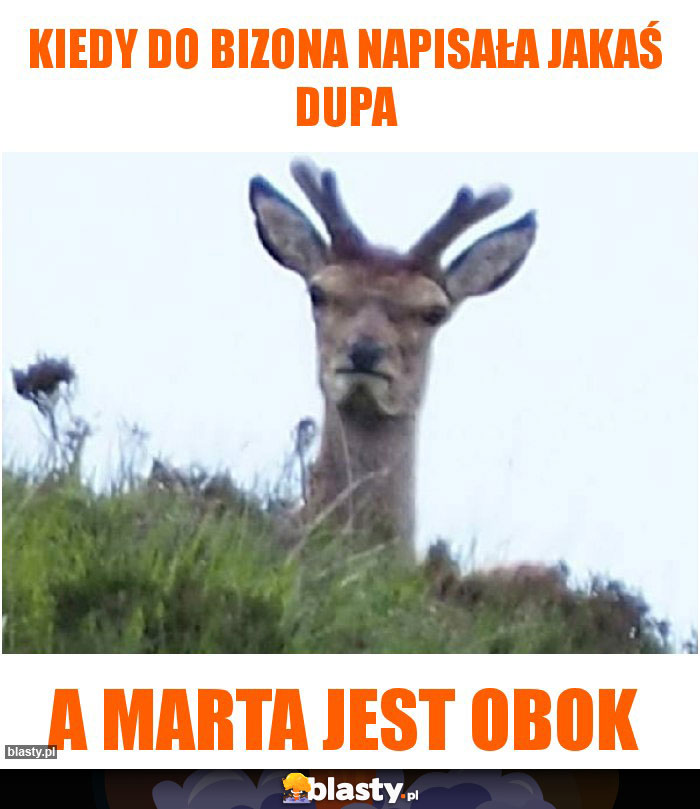 Kiedy do Bizona napisała jakaś dupa