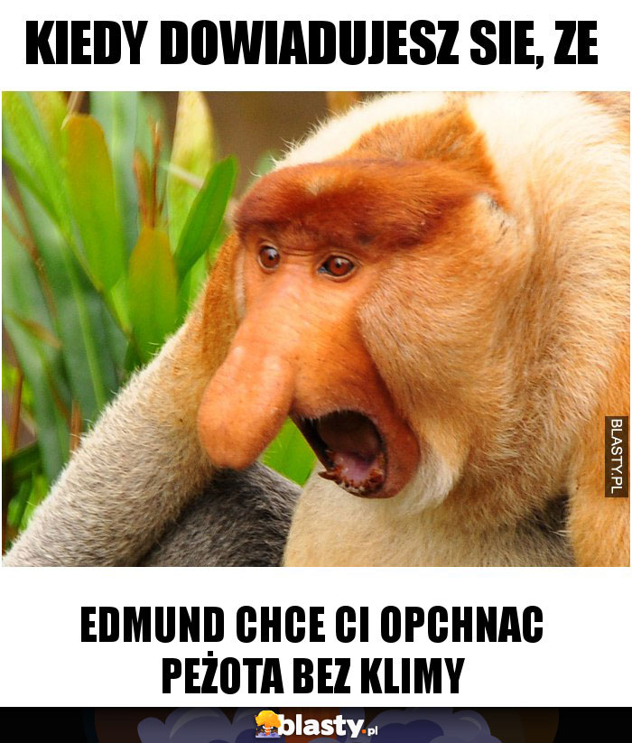 kiedy dowiadujesz sie, ze