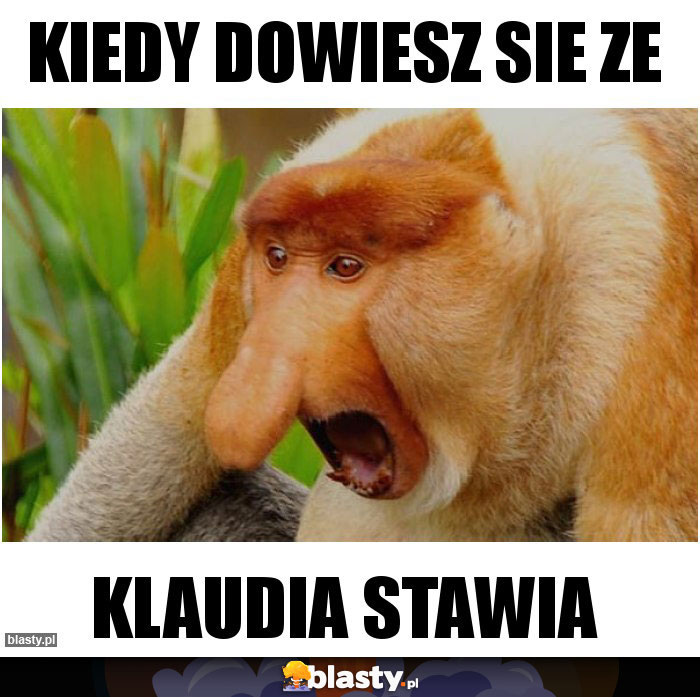 Kiedy dowiesz sie ze