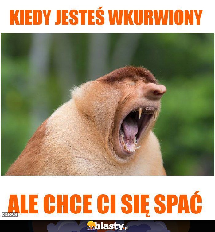 KIEDY JESTEŚ WKURWIONY