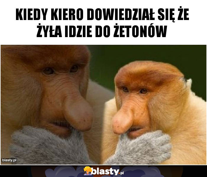 kiedy kiero dowiedział się że żyła idzie do żetonów